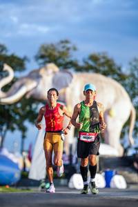 BIB: 
                            <button type="button" onclick="openModal(26541190)" class="btn btn-primary btn-sm float-right btn-popup" data-toggle="modal" data-target=".modal-high-quality">
                        <i class="fas fa-shopping-cart"></i> Add to Cart
                    </button>
                                            <button type="button" onclick="isThisMe(26541190, true)" class="btn btn-success btn-sm float-right btn-popup btn-isme hidden" data-toggle="tooltip" data-placement="bottom" title="นี่คือรูปของคุณใช่ไหม คลิกที่นี่เพื่อเอาเข้าอัลบั้ม">
                        <i class="fas fa-plus"></i> Add to album
                    </button>
                    <button type="button" onclick="isThisMe(26541190, false)" class="btn btn-warning btn-sm float-right btn-popup btn-isnotme hidden">
                        <i class="fas fa-ban"></i> Remove from album
                    </button>